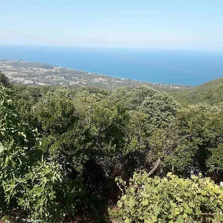 Appartement Chalatsogiannis Suites